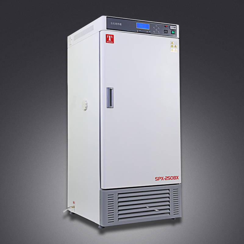 ���̩˹������������������SPX-80L