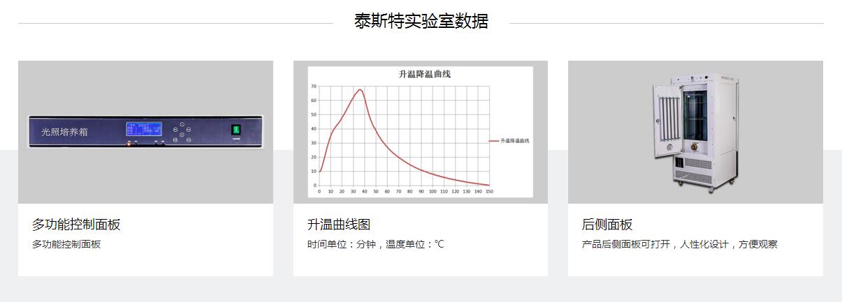 ���̩˹��GZX250EF����������